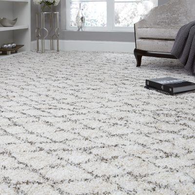 Shag Carpet & Shag Rugs | Stanton Carpet